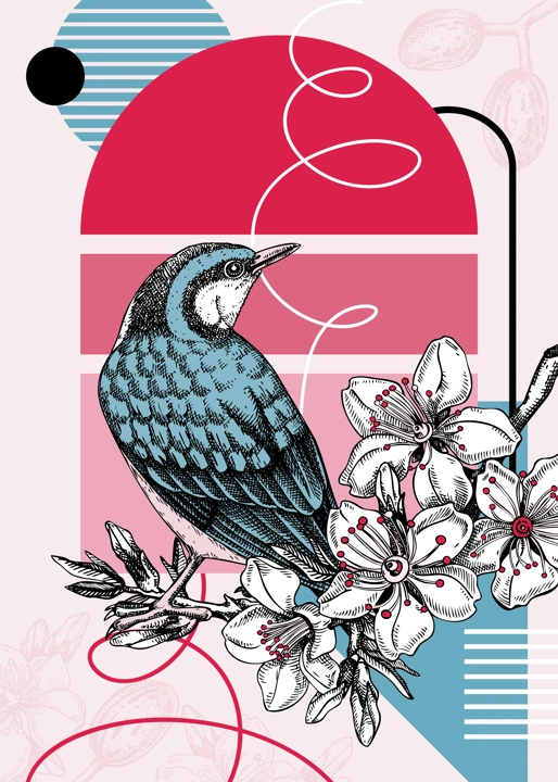Collage style nuthatch vector illustration. Hand drawn bird on blooming almond branch with flowers, nuts and leaves. Trendy design with botanical, geometric shapes, and abstract elements.
